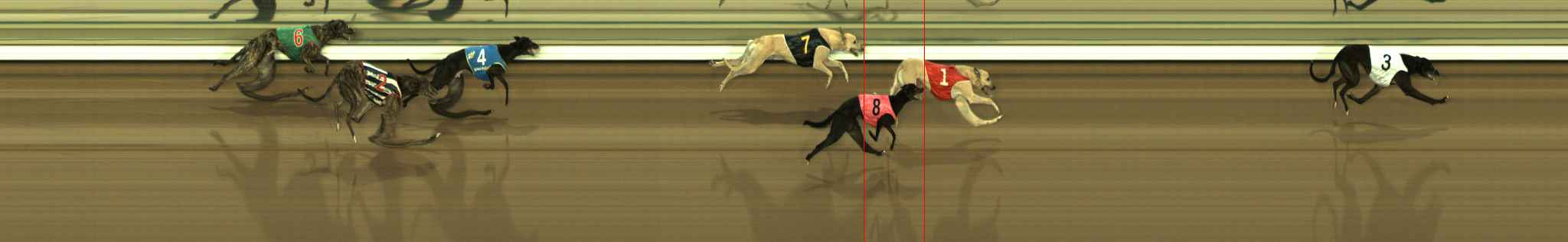 Race result finish photo